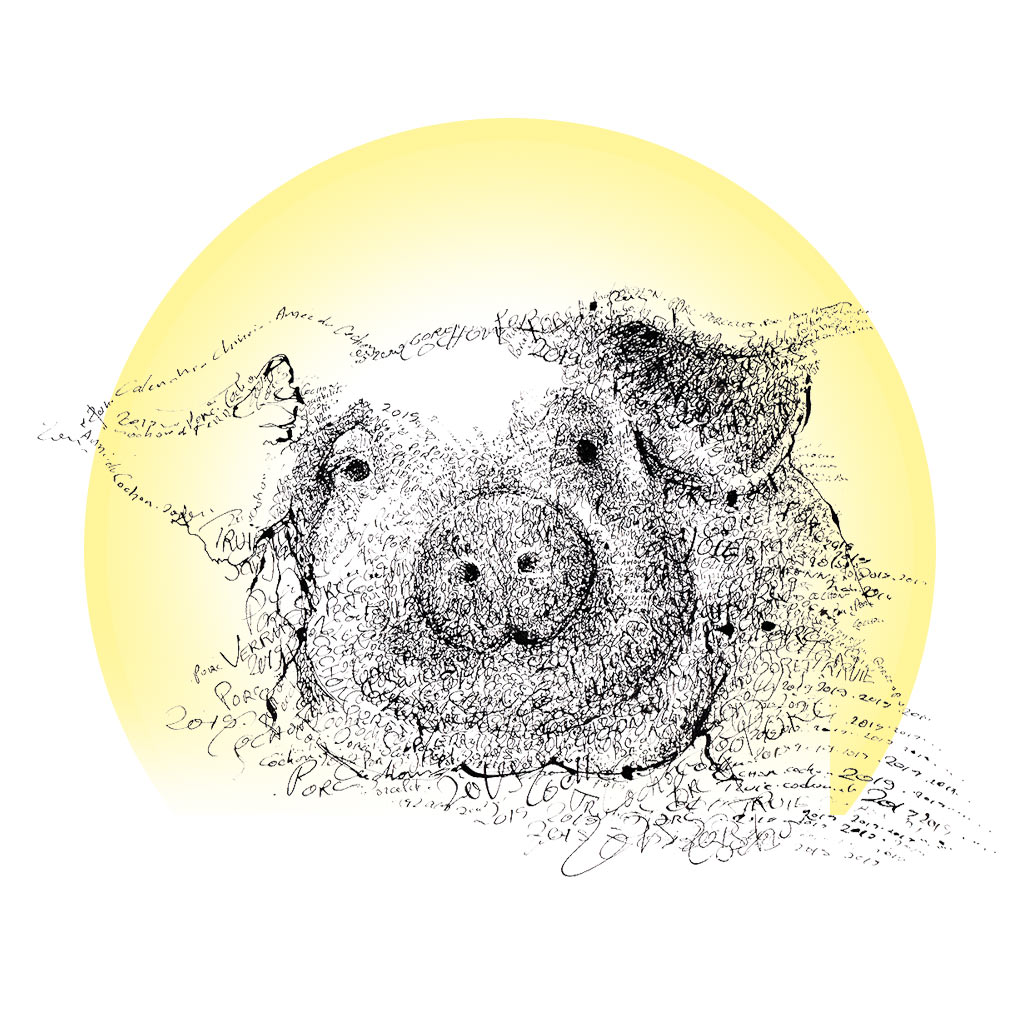 Cochon de Terre, le 11 novembre, 17h30